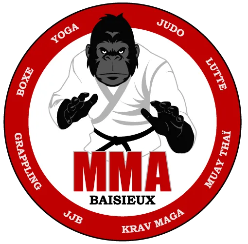 Logo du club MMA Baisieux